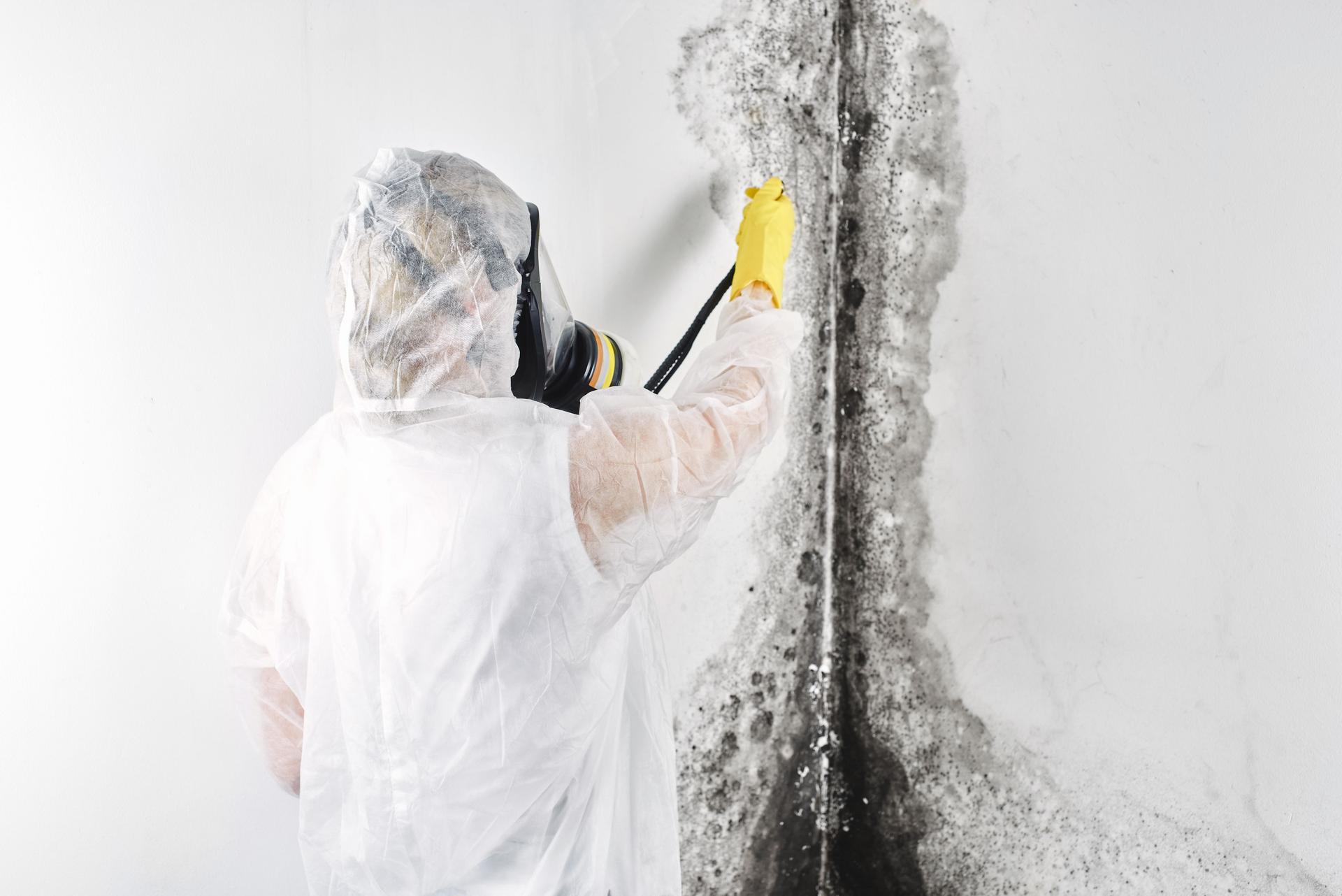 A professional disinfector in overalls processes the walls from mold. Removal of black fungus in the apartment and house. Aspergillus."n