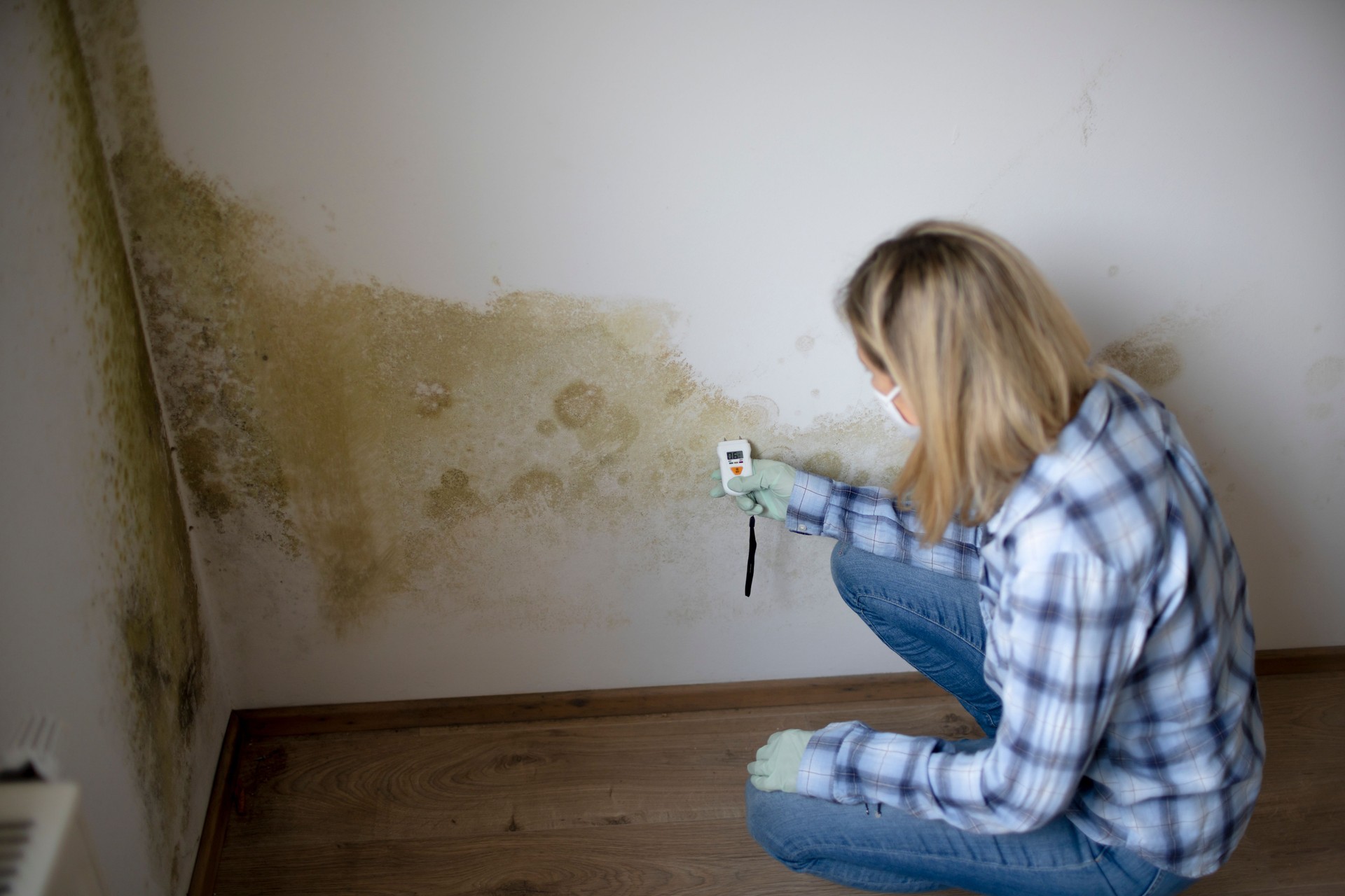 young woman measures the humidity on a wall with a lot of mold